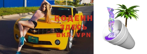 ГАЛЛЮЦИНОГЕННЫЕ ГРИБЫ Сатка