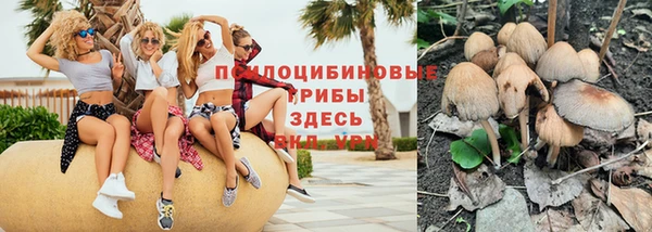 ГАЛЛЮЦИНОГЕННЫЕ ГРИБЫ Сатка