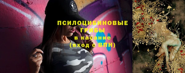 бошки Саяногорск