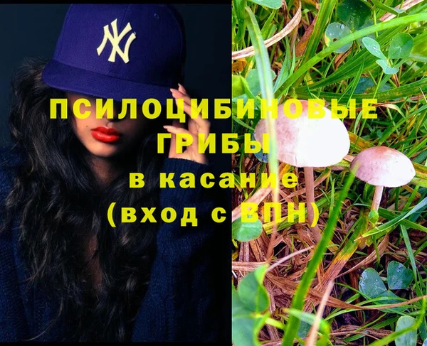 ГАЛЛЮЦИНОГЕННЫЕ ГРИБЫ Сатка