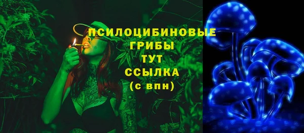 бошки Саяногорск